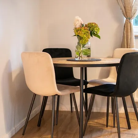 Toni 47 - Charming Im Idyllischem Villenviertel Mit Netflix * Drážďany